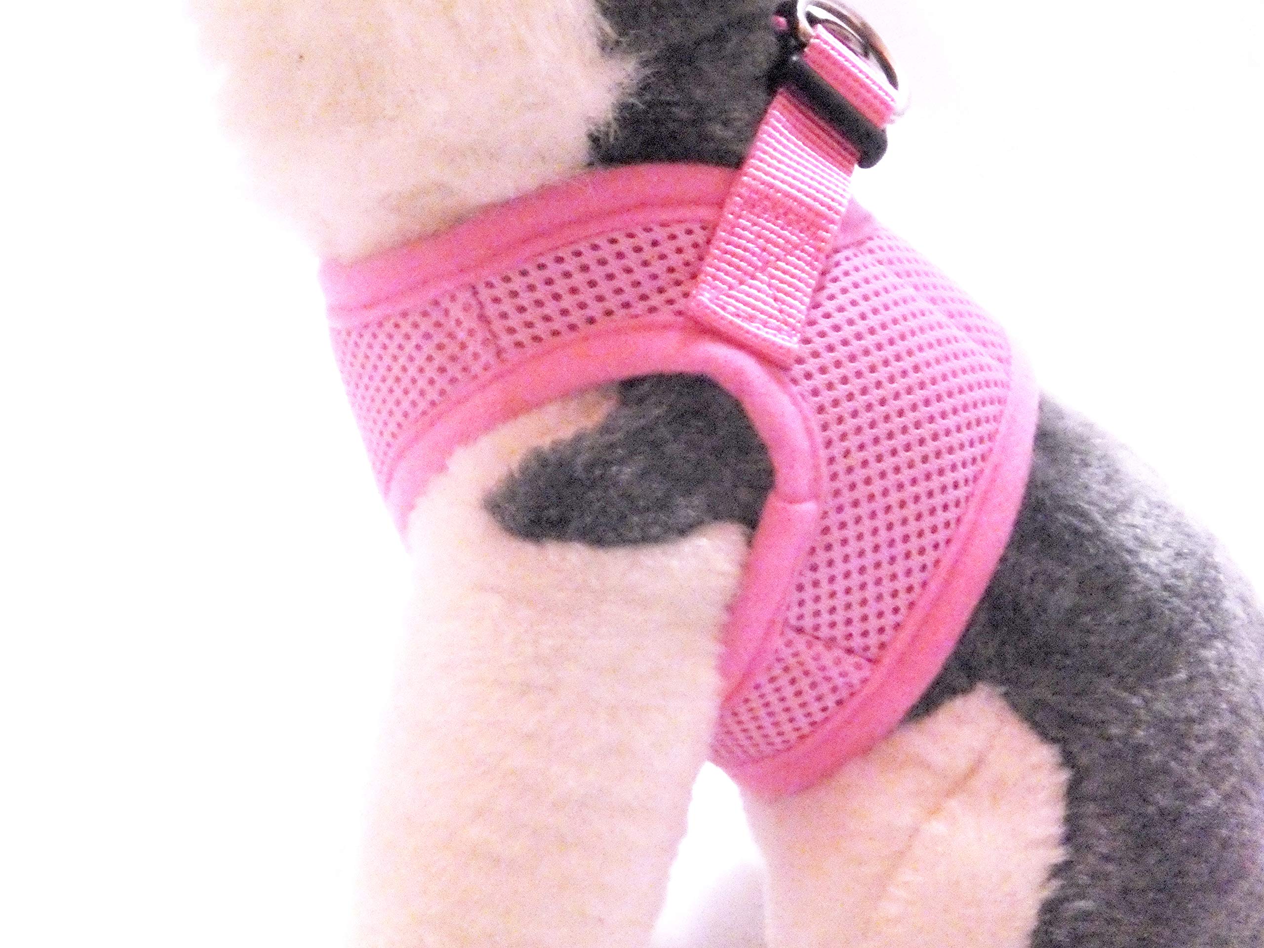 Arnés Snazzi Pet sin tirones rosa, vista trasera, ajuste cómodo para razas pequeñas.