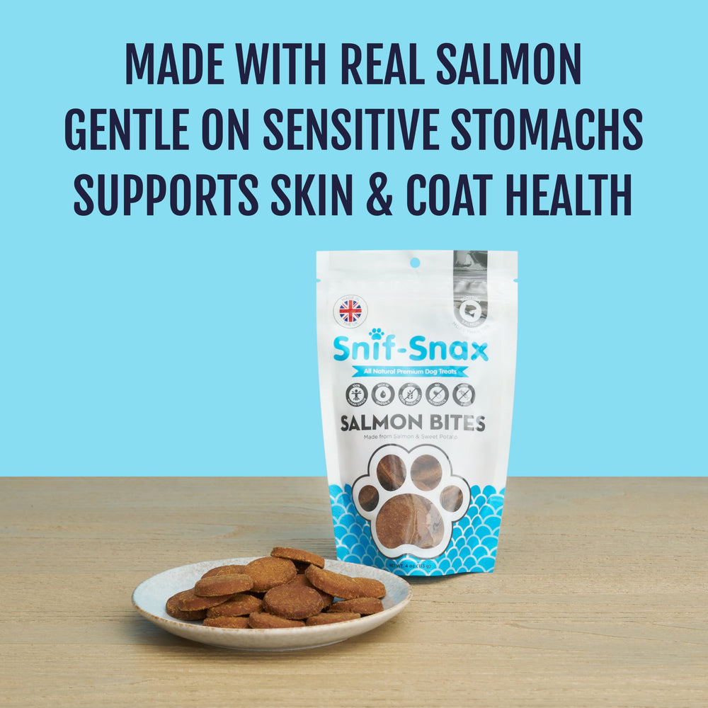Snif-Snax Salmón sin granos, apto para estómagos sensibles