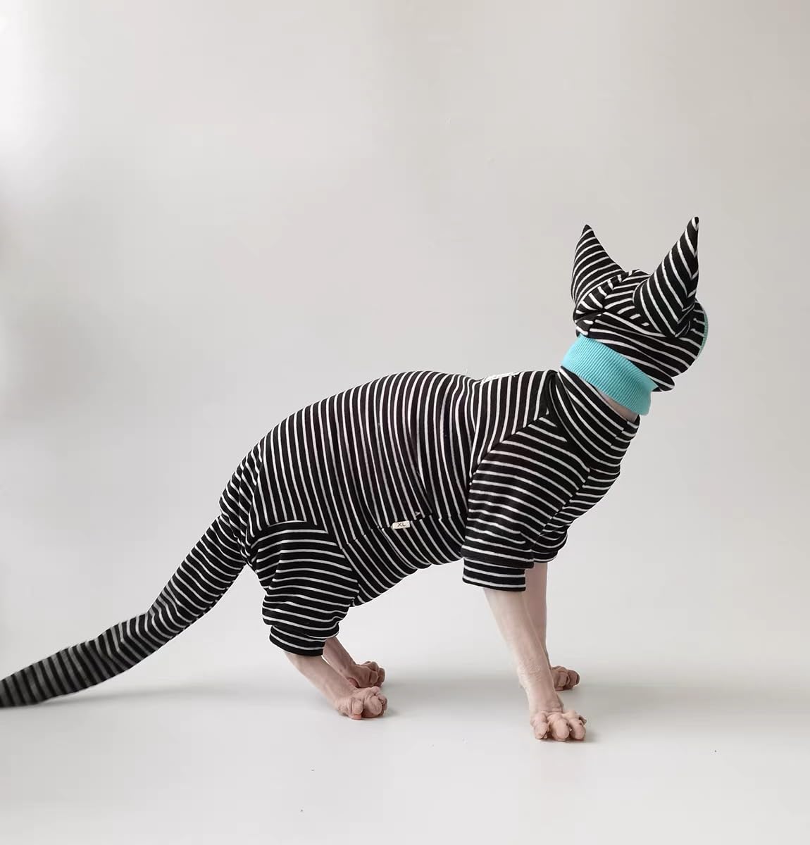 SNIXFEVER ajuste elástico: fácil de vestir para gatos activos