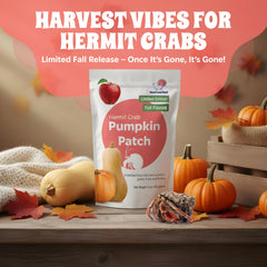 Avena y semillas de calabaza, fuente natural de fibra y proteína para cangrejos ermitaños.