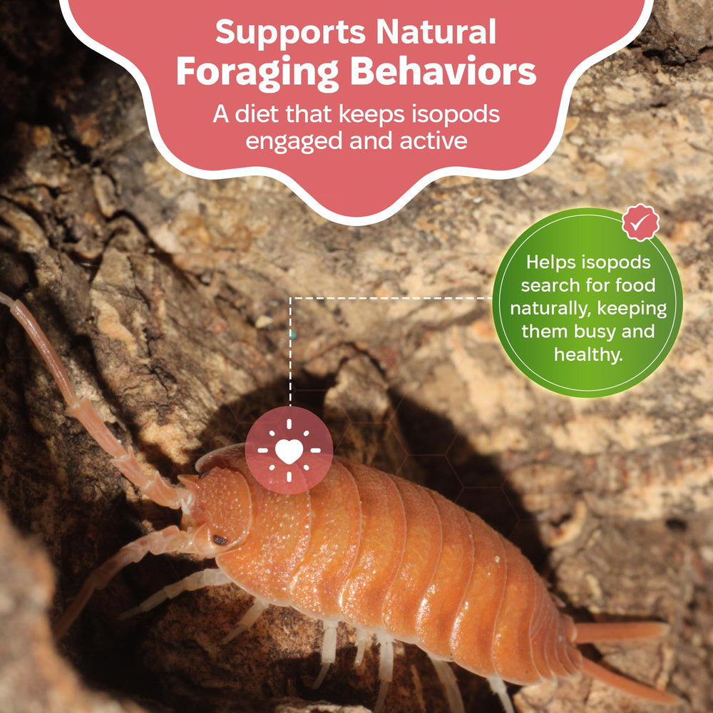 Snout and Shell alimento para isópodos: fomenta comportamientos de forraje natural