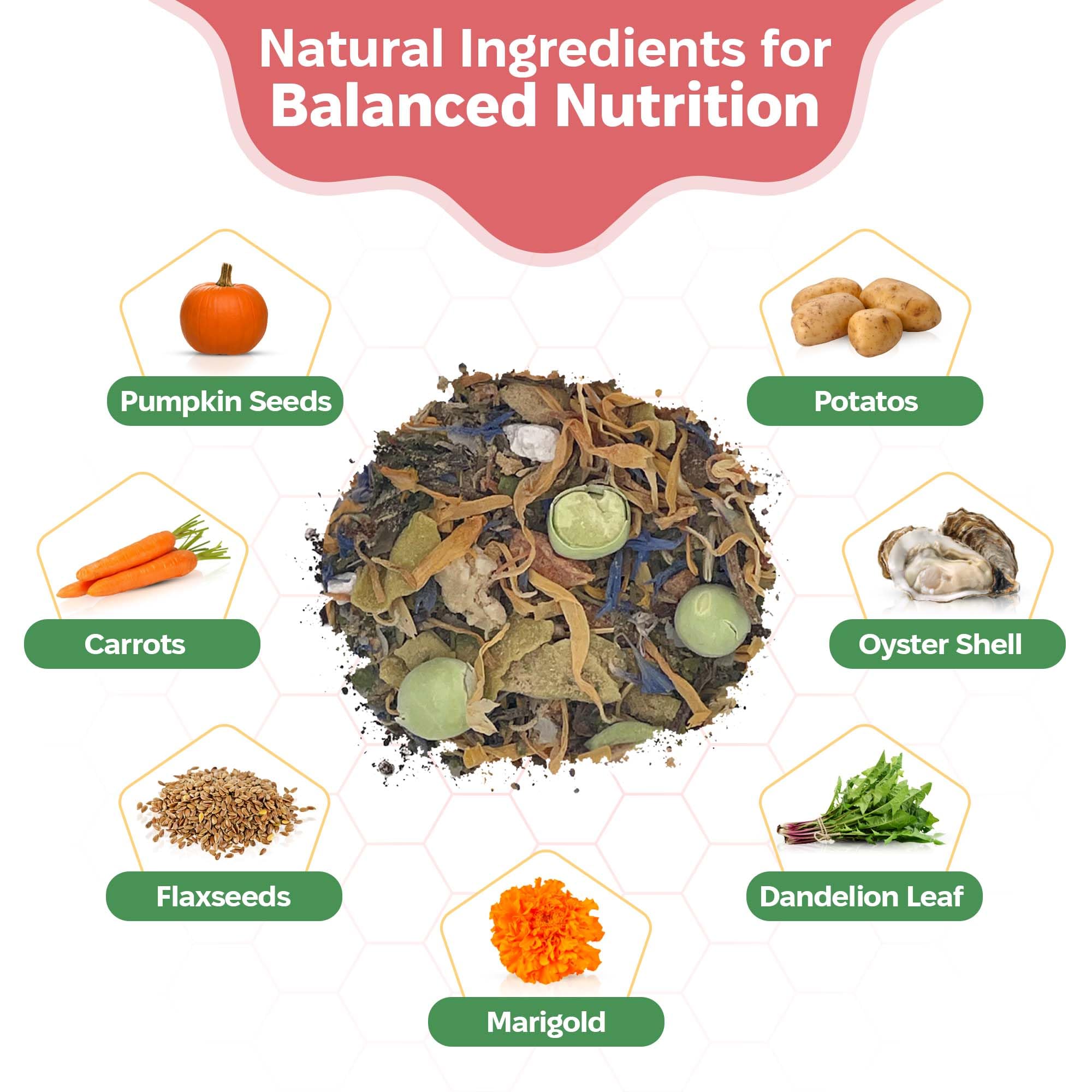 Snout and Shell nutrientes para isópodos: soporte para crecimiento saludable