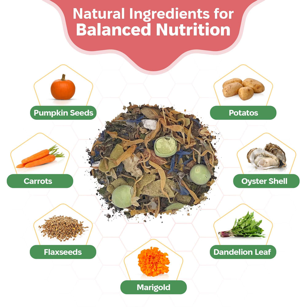 Snout and Shell nutrientes para isópodos: soporte para crecimiento saludable