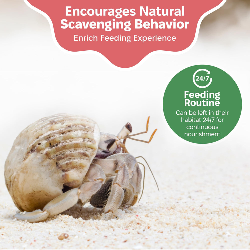 Snout and Shell: polvo inerte sin moho para tanques húmedos