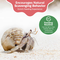 Snout and Shell: polvo inerte sin moho para tanques húmedos