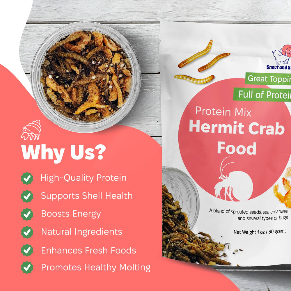 Snout and Shell: alimento de 56 g para cangrejos ermitaños como complemento diario