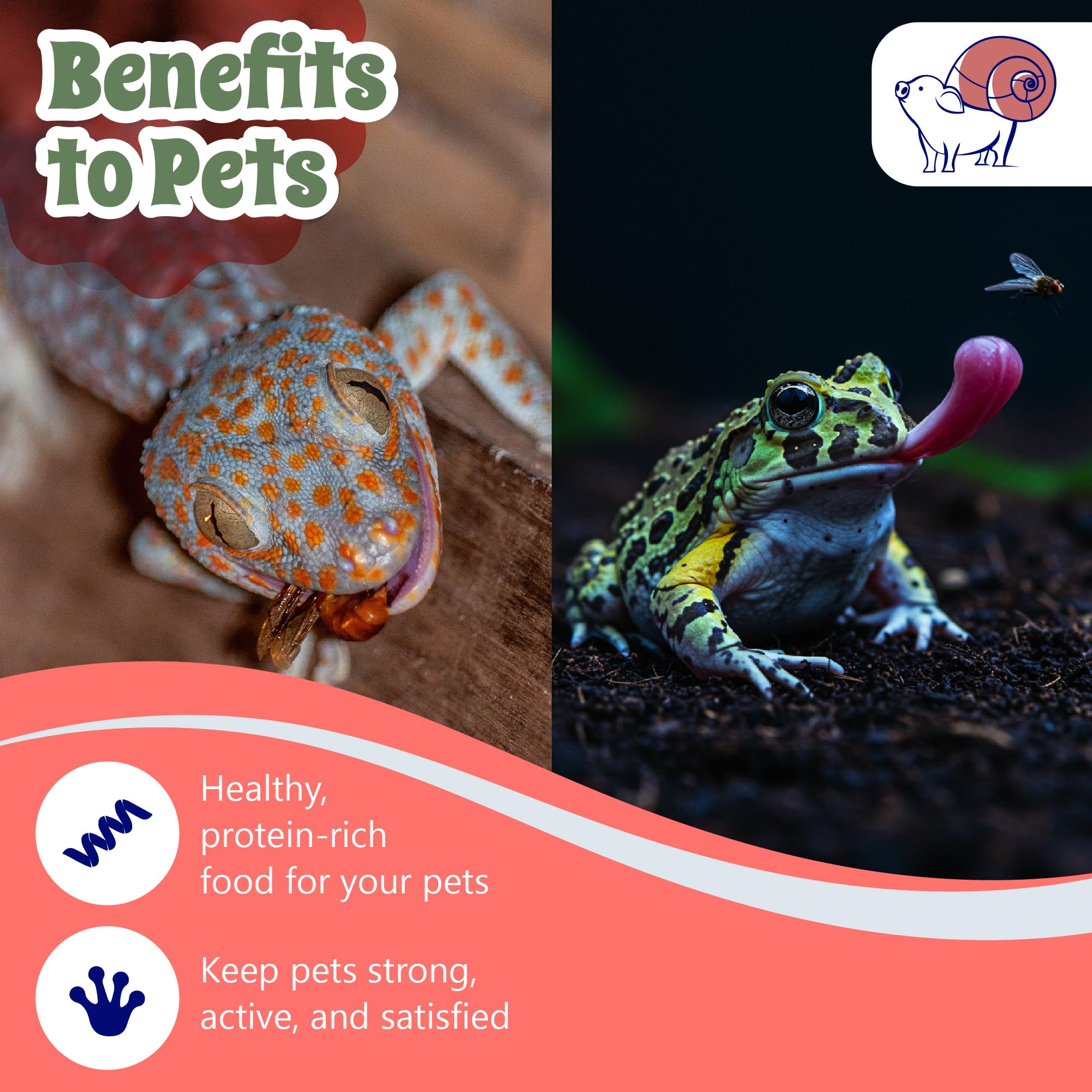 Snout and Shell: sistema seguro para mantener insectos contenidos en plástico PP