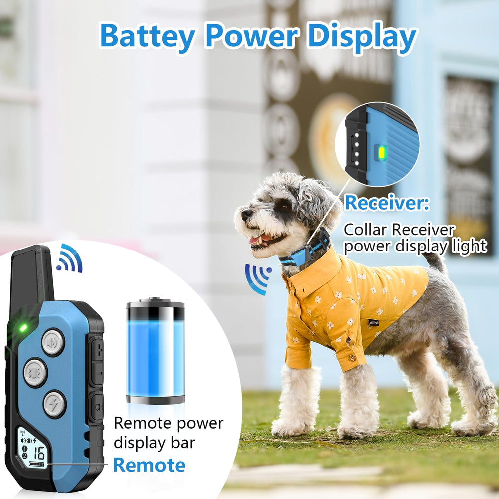 Snsng: collar resistente al agua IP67 para entrenar bajo lluvia.