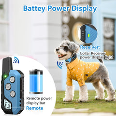 Snsng: collar resistente al agua IP67 para entrenar bajo lluvia.