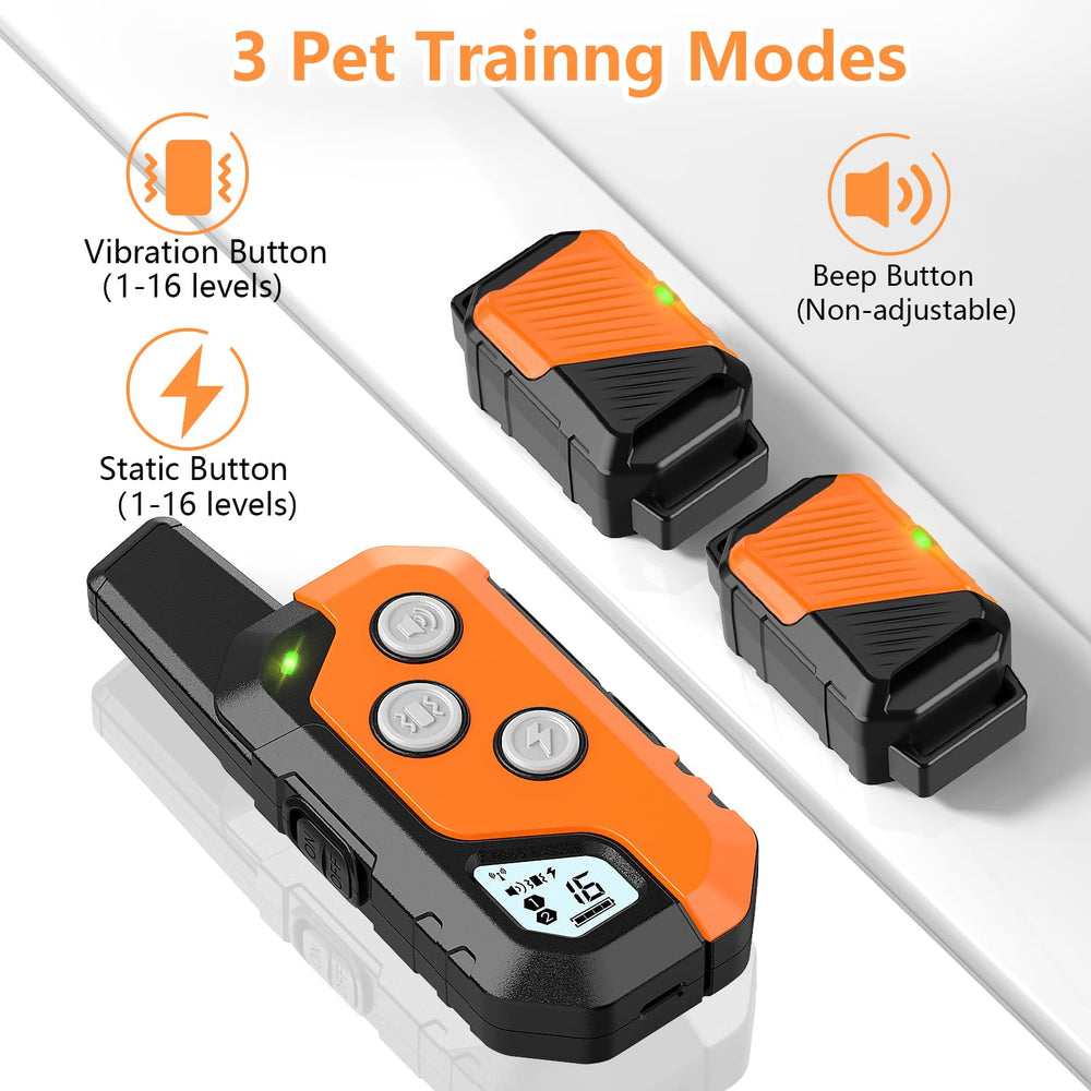 Snsng para dos perros, entrenamiento paralelo con un solo sistema.