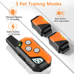Snsng para dos perros, entrenamiento paralelo con un solo sistema.