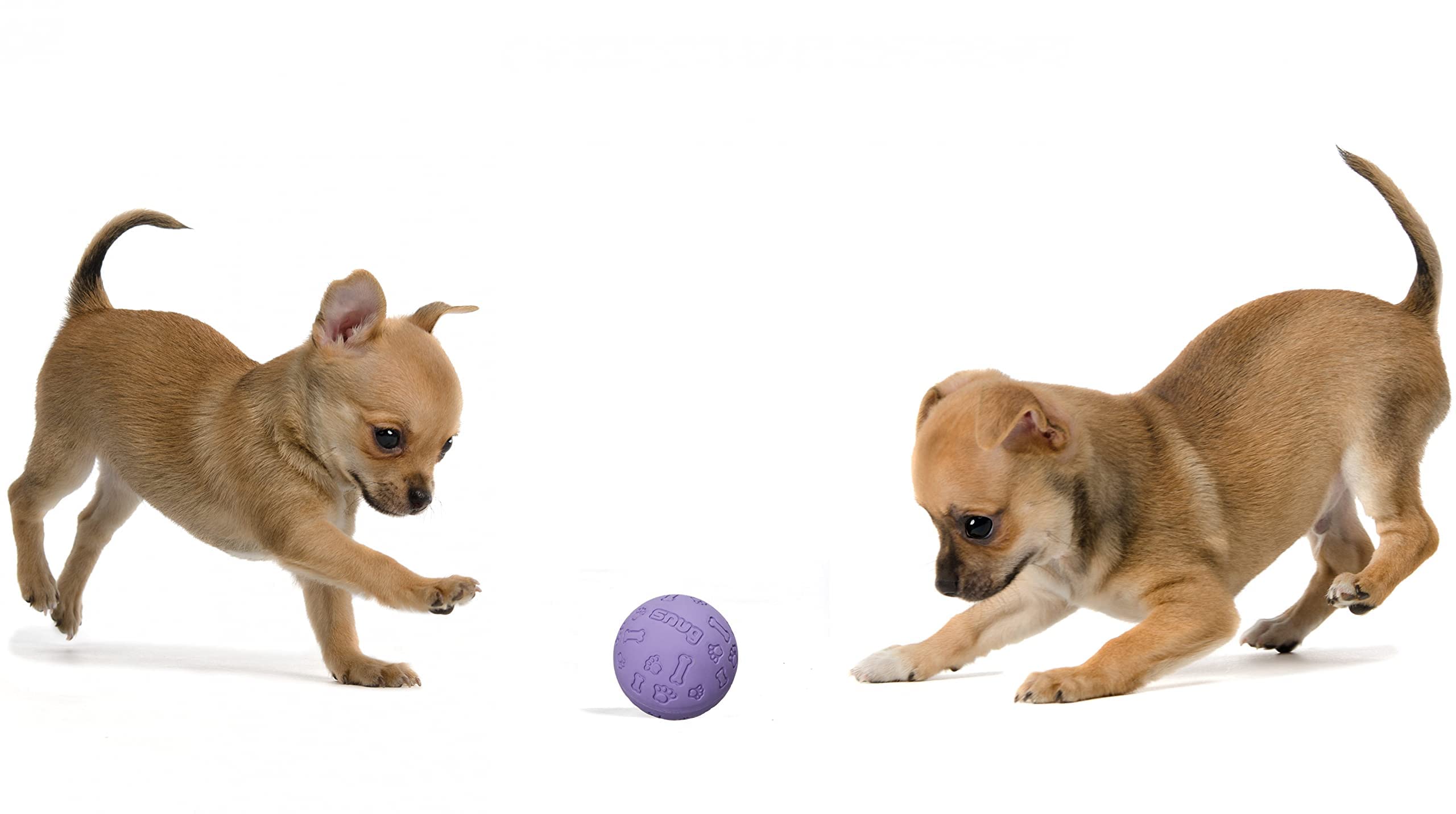 Bola Snug en pack de 3, ahorro para sesiones de juego constantes.