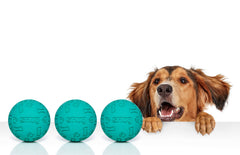 Bolas Snug de goma para perros, vista lateral, aptas para lanzamiento con juguetes