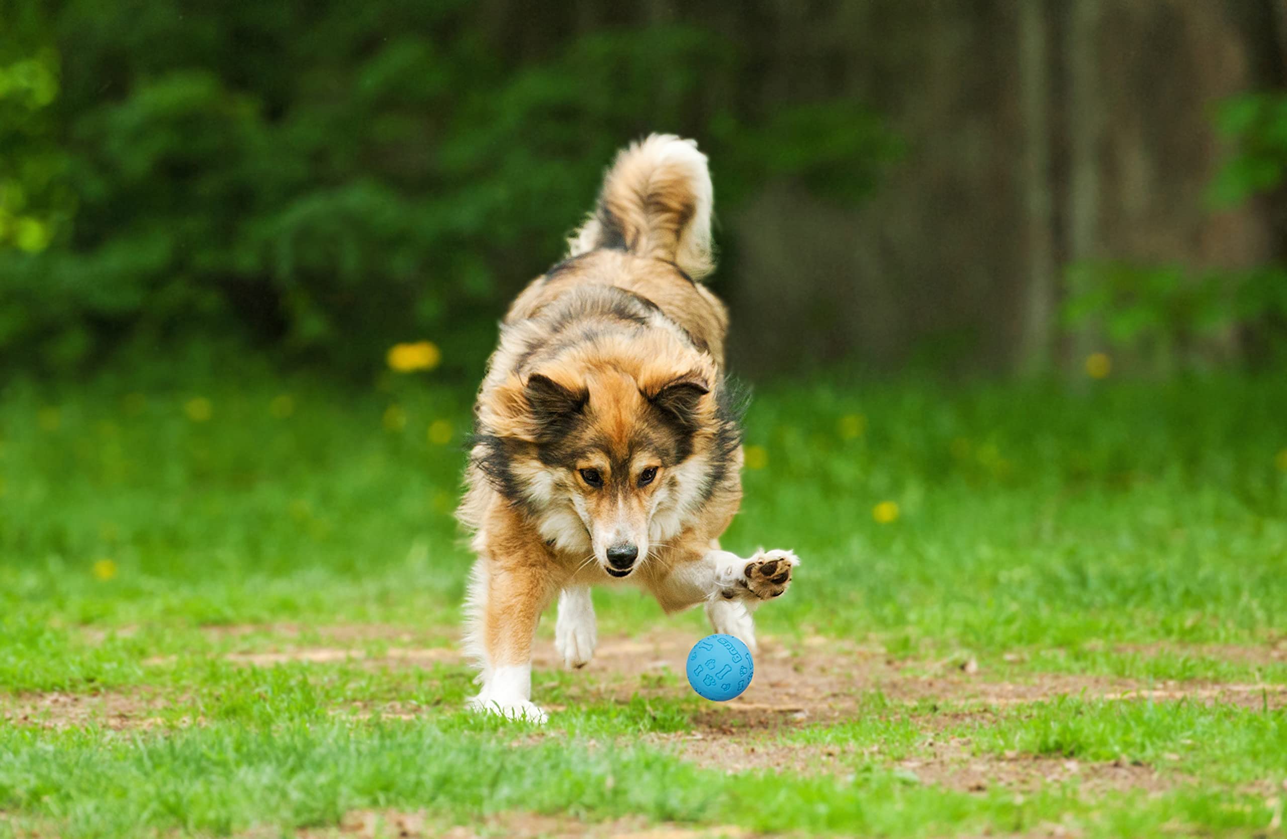 Paquete de tres pelotas Snug azules para juegos en casa