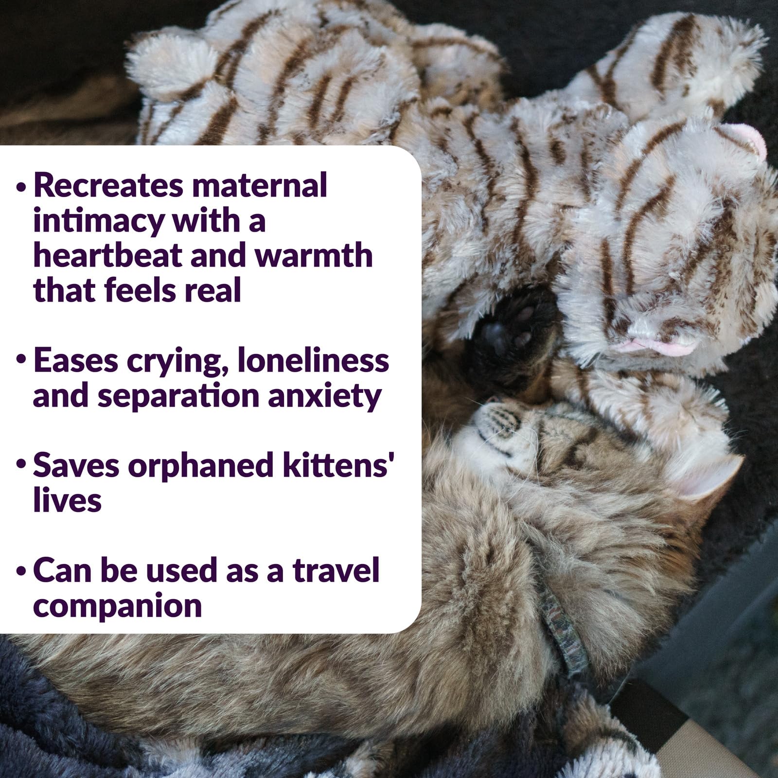 Empaque de Snuggle Kitty con baterías incluidas para empezar.