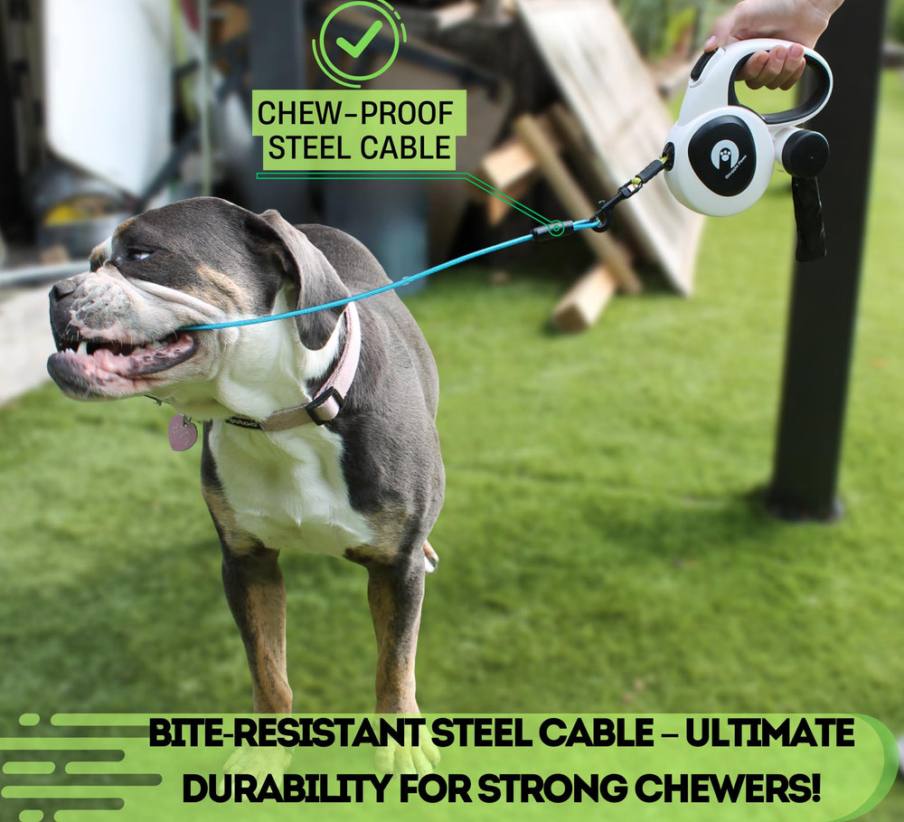 Snuggle Paws giro 360 sin enredos para cambios de dirección sin nudos.
