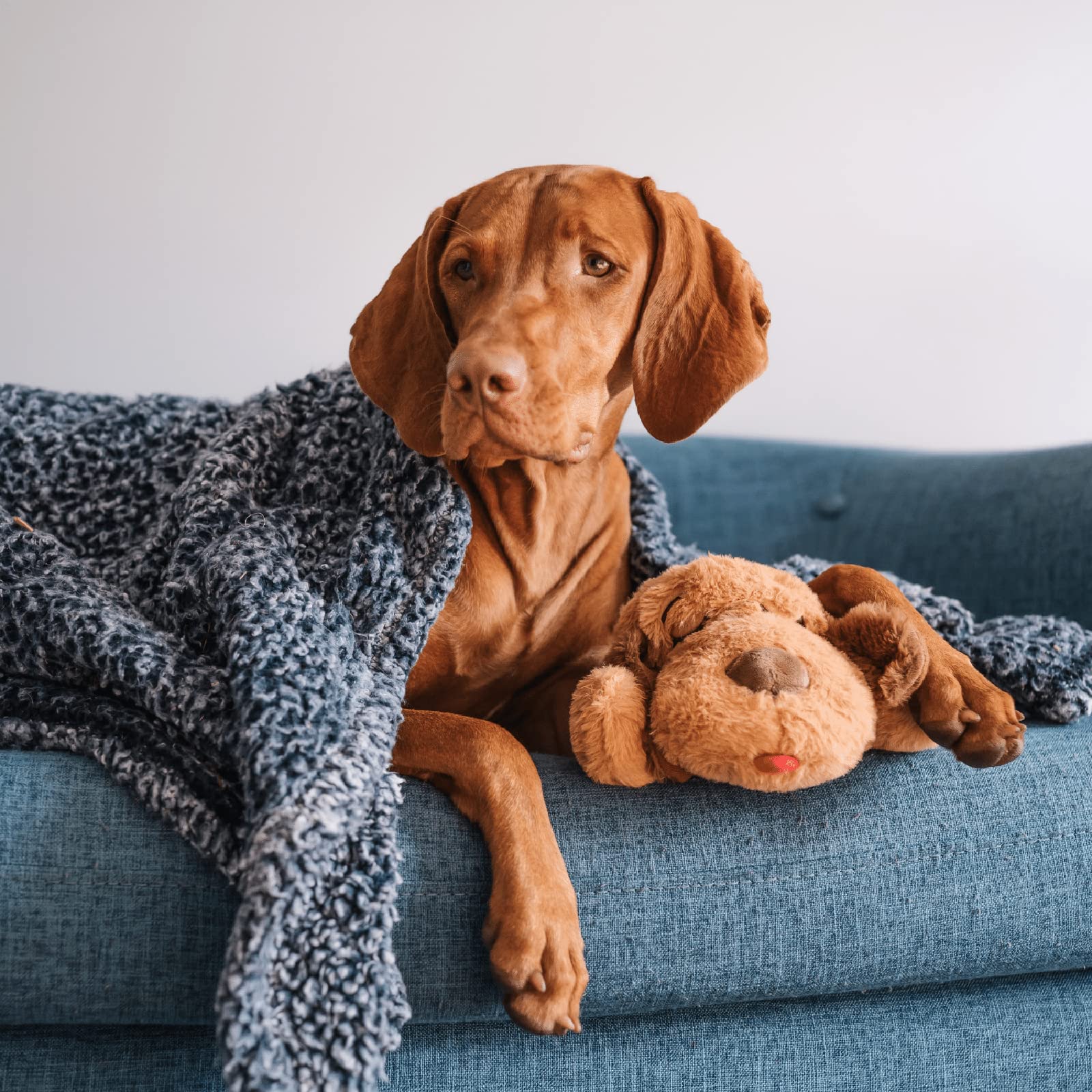 Snuggle Puppy confort suave para momentos de estrés