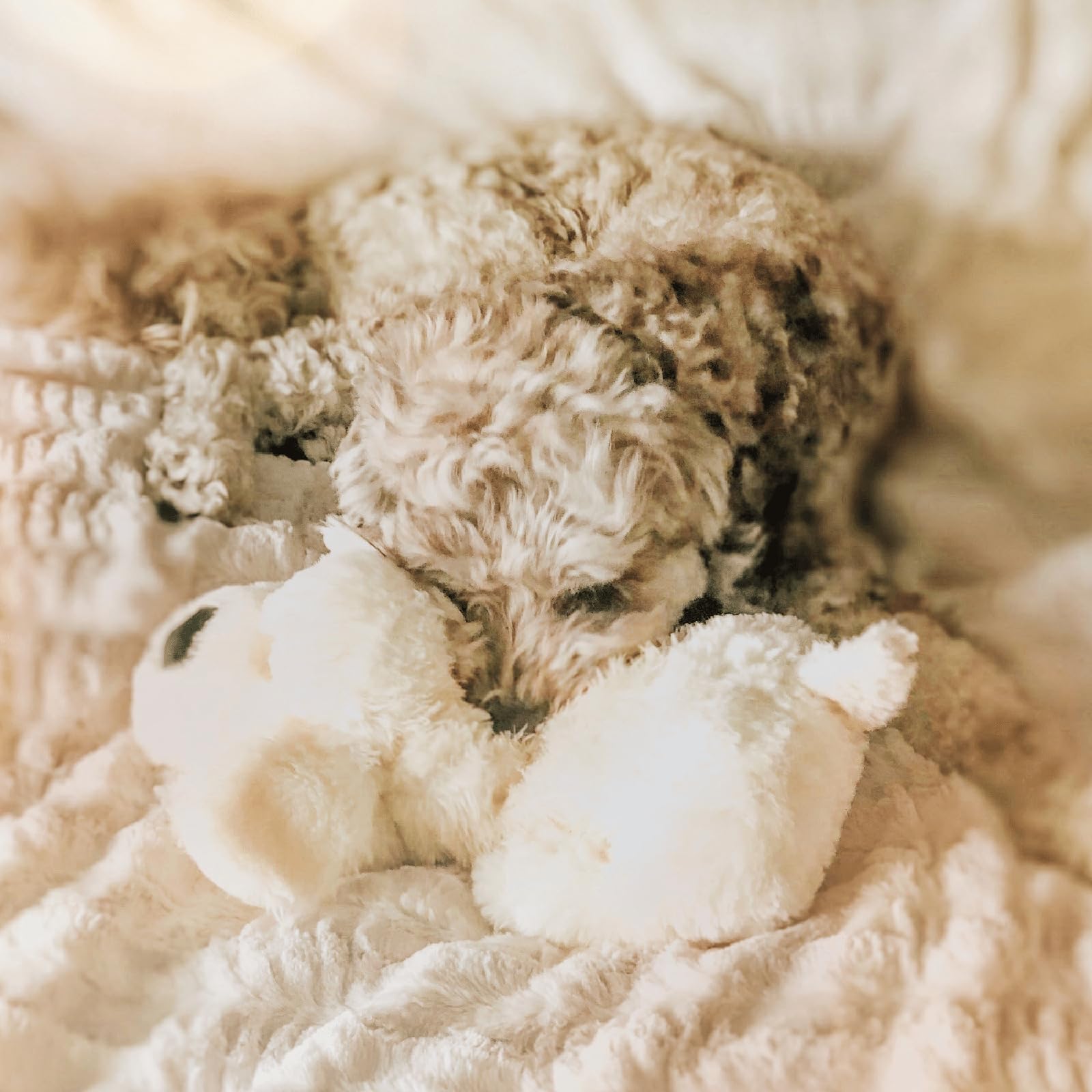 Snuggle Puppy estructura duradera para juego diario.