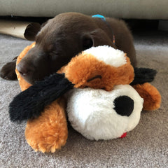 Snuggle Puppy es lavable a máquina para limpieza rápida