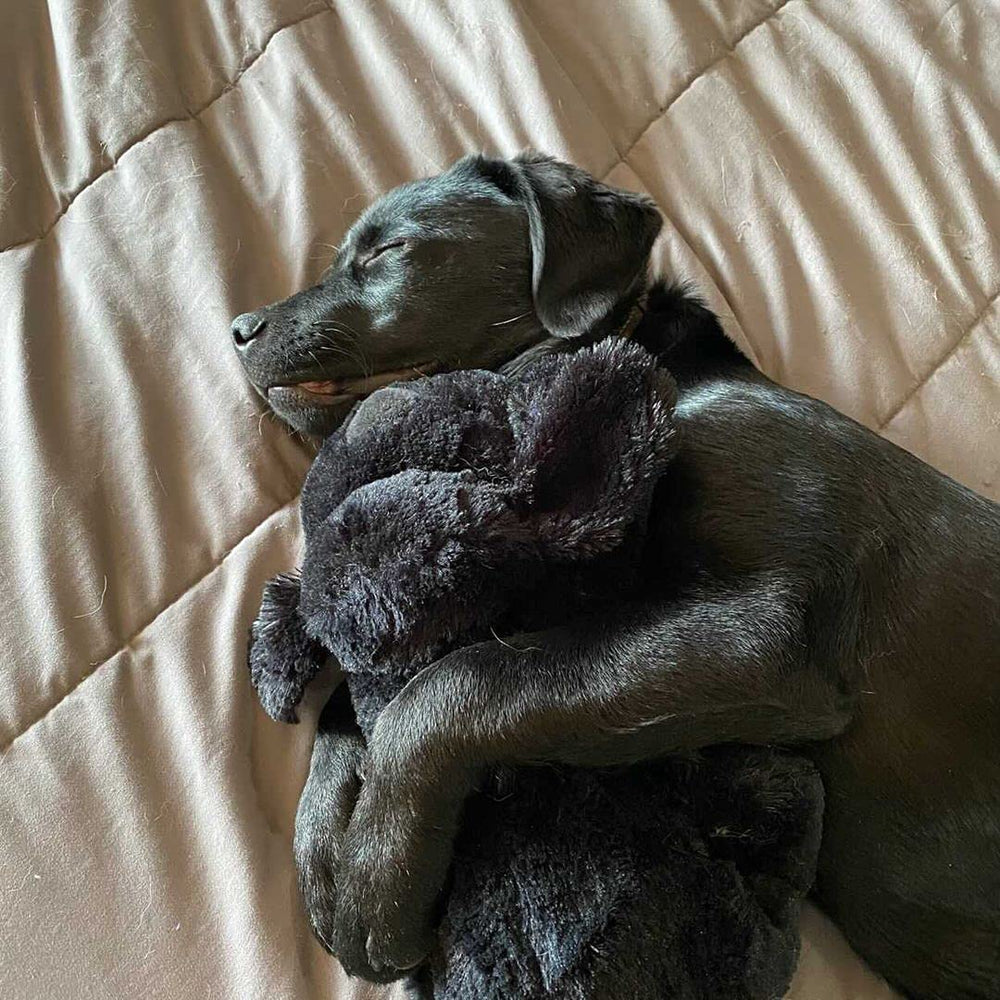 Snuggle Puppy lavado a máquina: fácil limpieza para mantenimiento rápido.