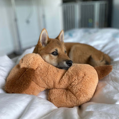 Snuggle Puppy lavado a máquina para limpieza rápida