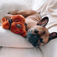 Materiales hipoalergénicos de Snuggle Puppy para mayor seguridad y comodidad.