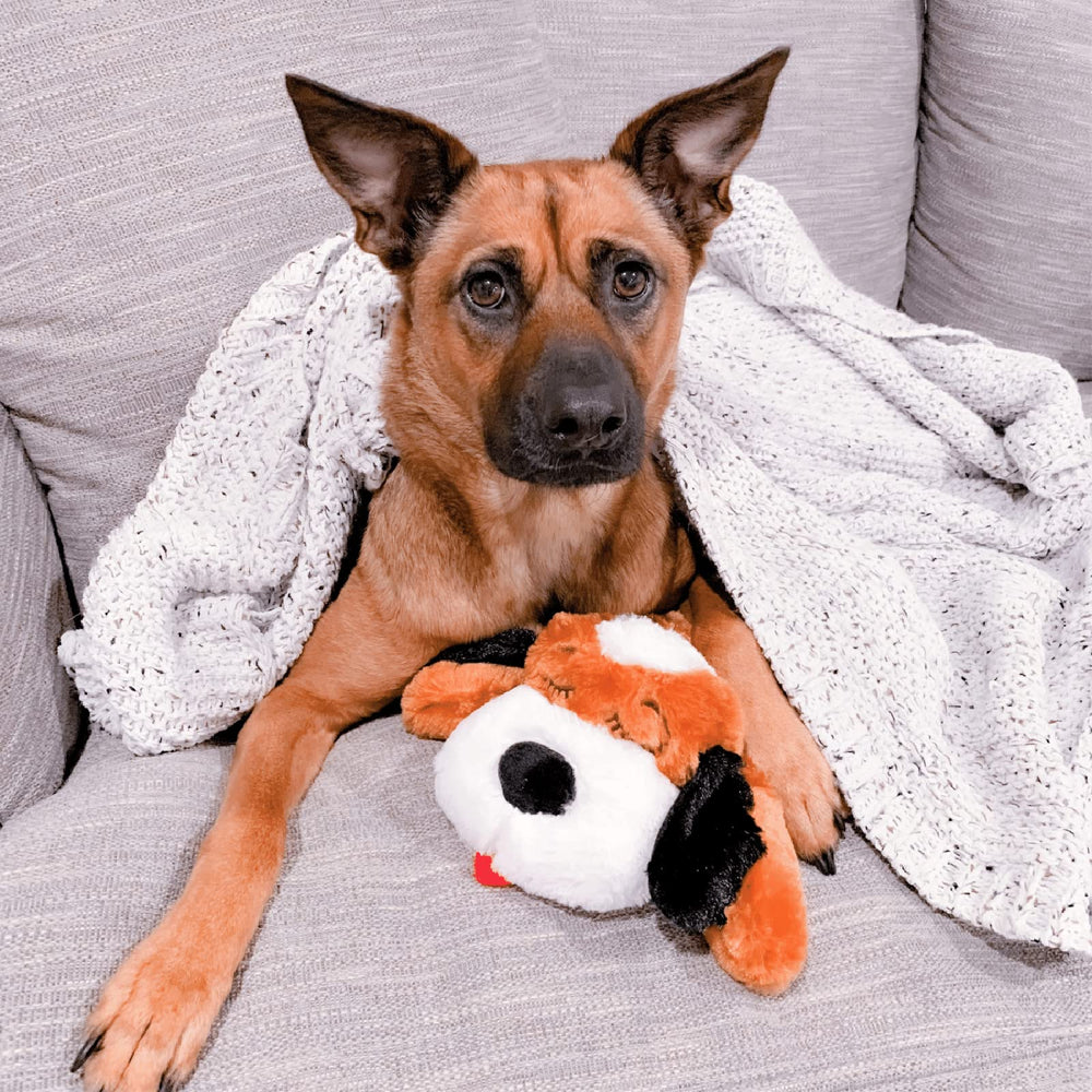 Snuggle Puppy noches tranquilas y descanso seguro