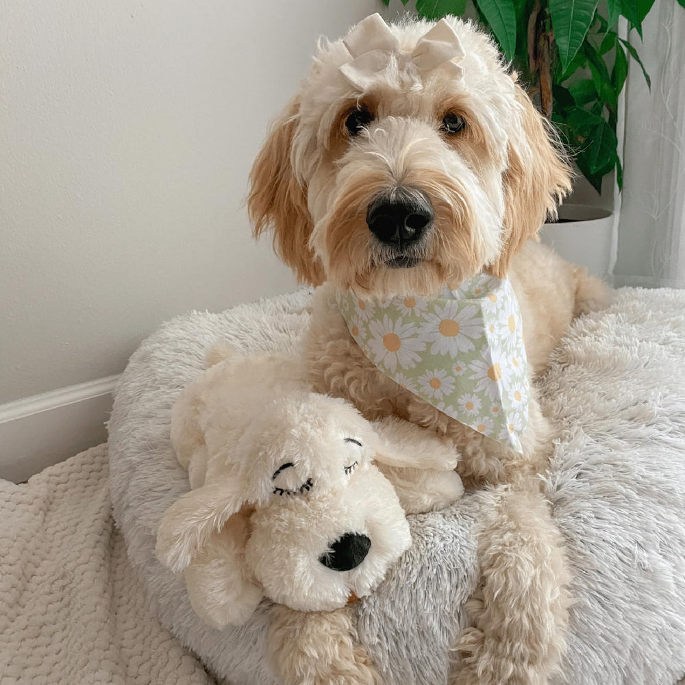 Snuggle Puppy peluche suave ideal para juego y relajación.