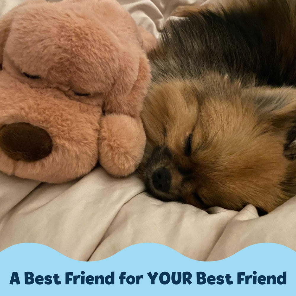 Snuggle Puppy regalo ideal para cachorros que comienzan a vivir en casa.