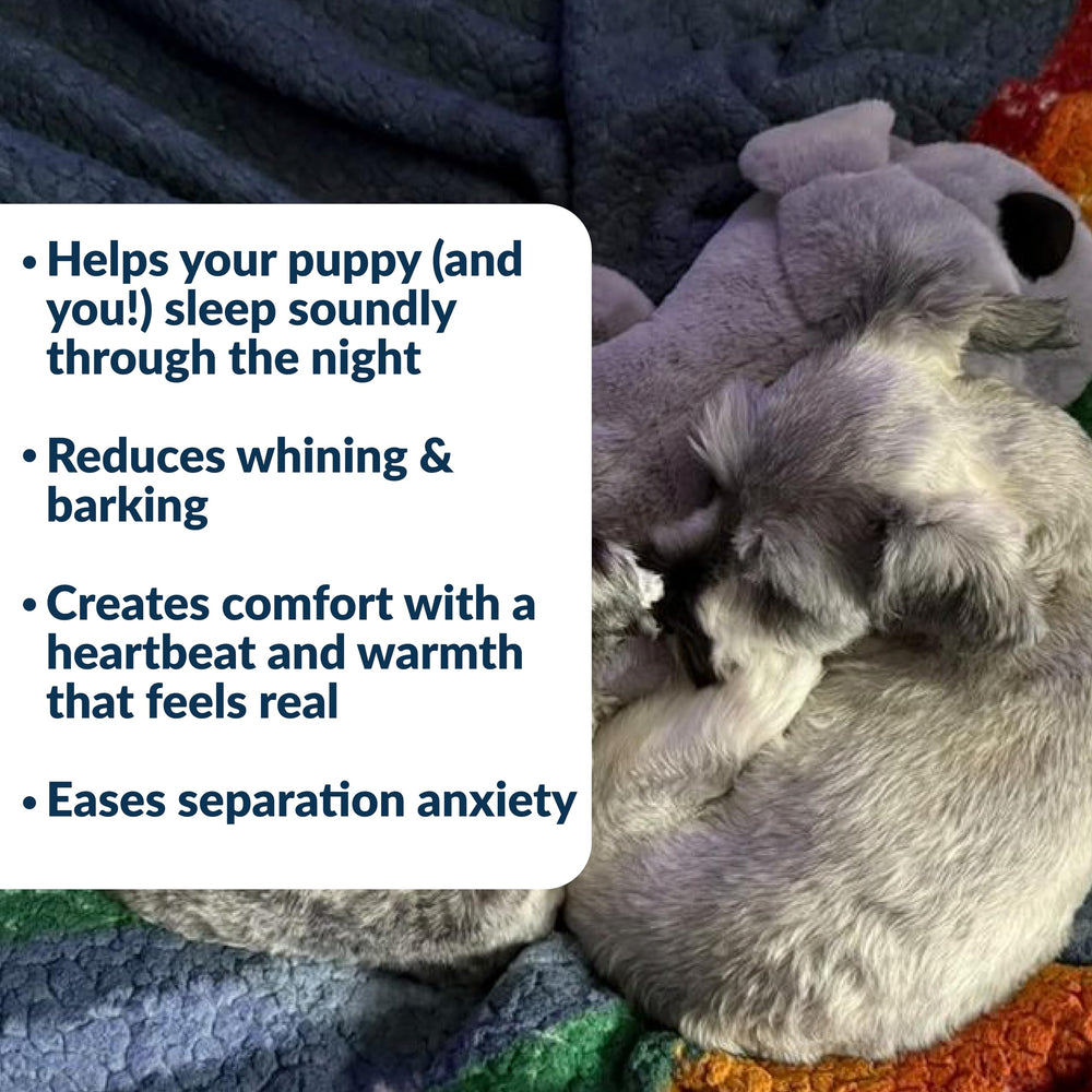 Snuggle Puppy recomendado para entrenamiento de comportamiento.
