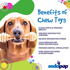 SodaPup Honey Bone: fomenta la higiene dental y reduce el masticado destructivo