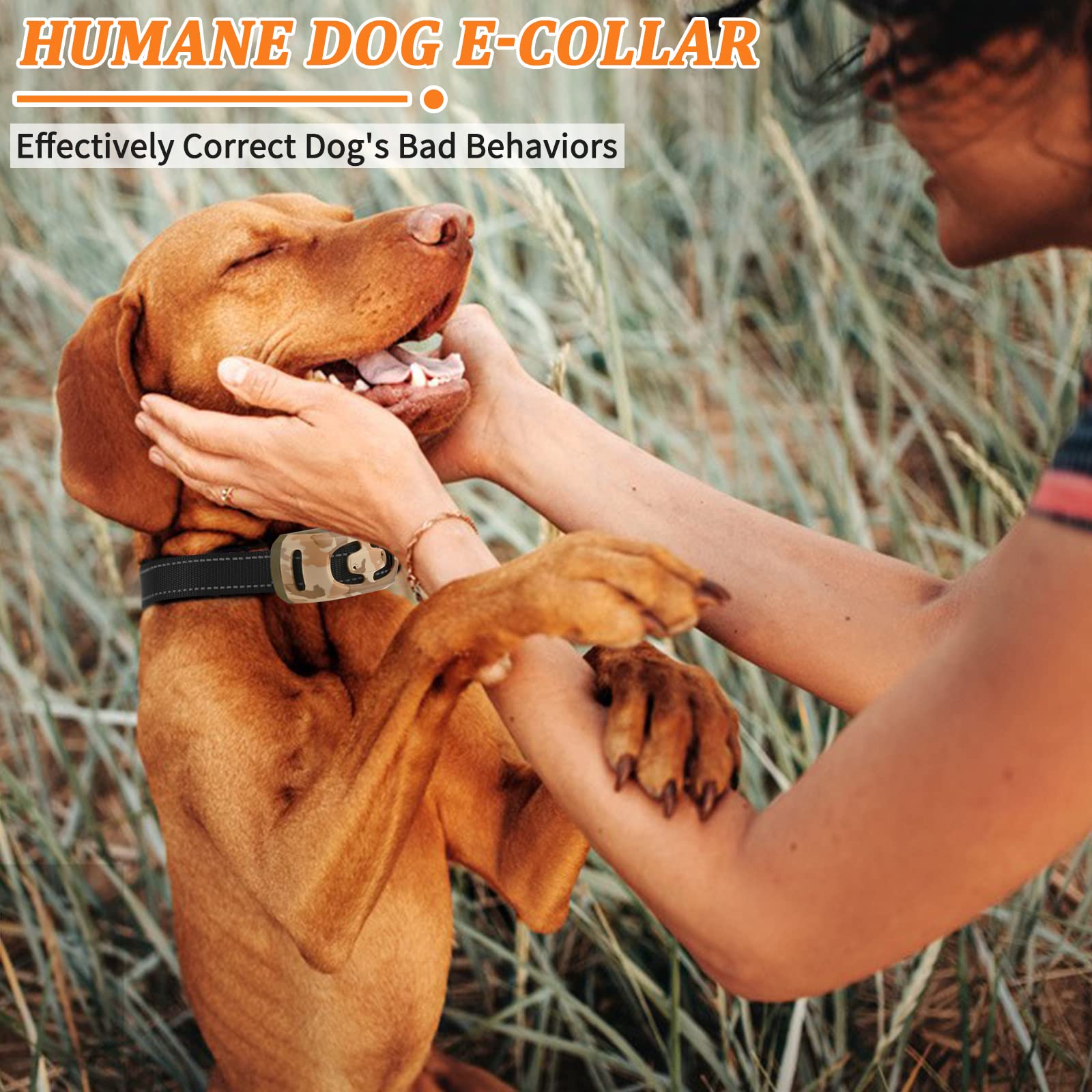SODOG batería recargable, carga rápida para sesiones diarias.