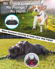 Mando remoto SODOG con control de vibración y beeps.