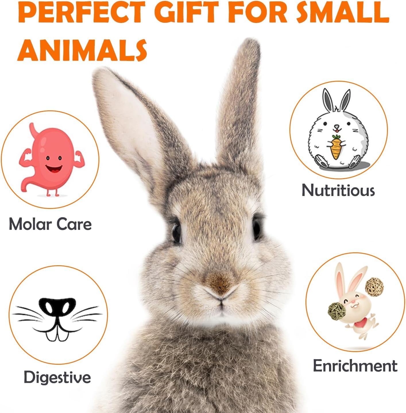 Sofier juguete natural para animales pequeños, regalo ideal y enriquecimiento.