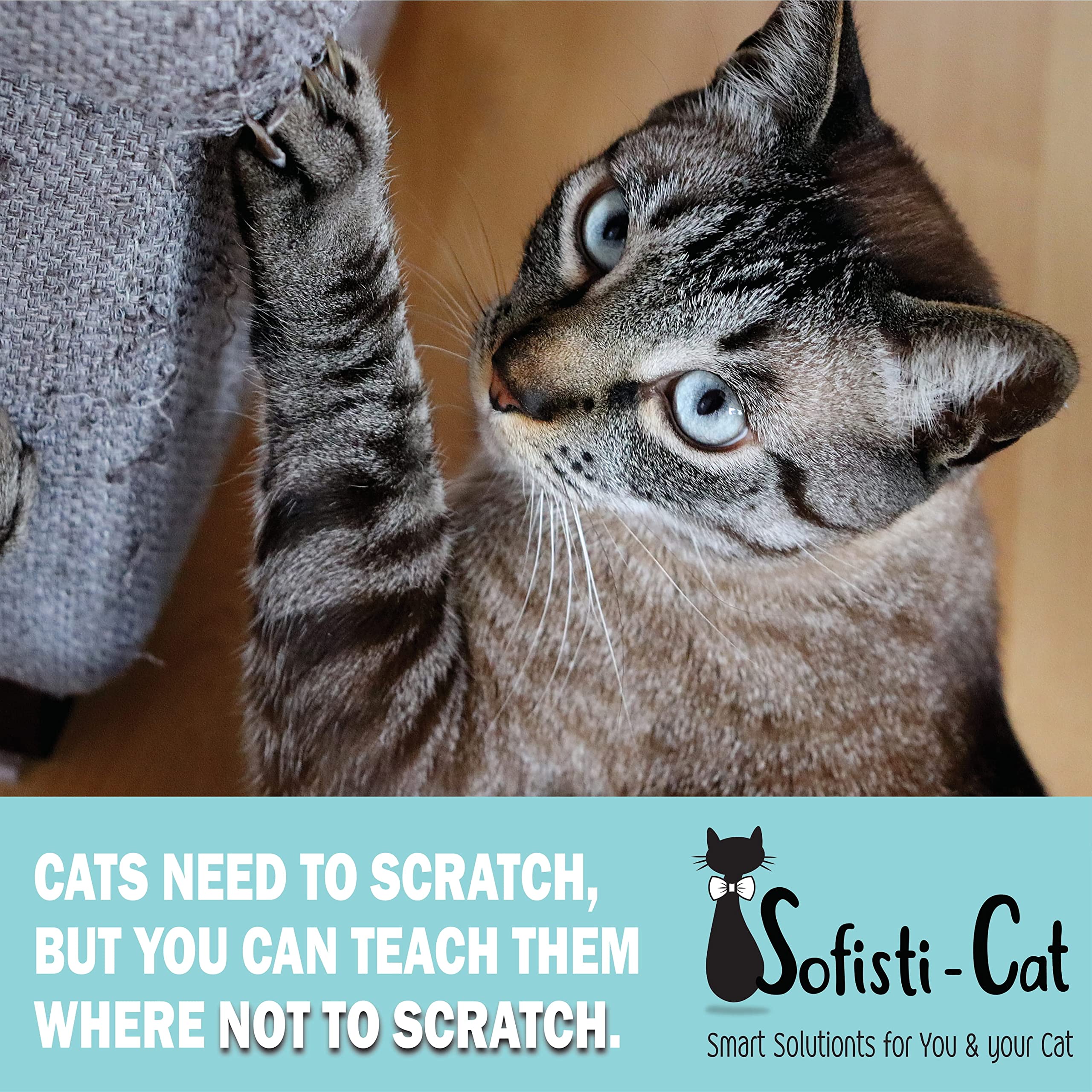 Sofisti-Cat cinta adhesiva doble cara protege muebles sin dañar.