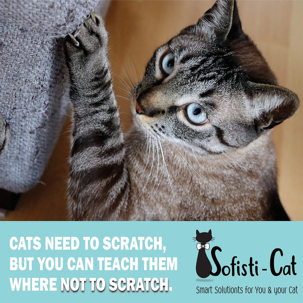 Sofisti-Cat cinta adhesiva doble cara protege muebles sin dañar.