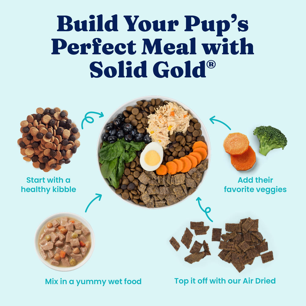 Solid Gold cena húmeda para perro pequeño con pollo.