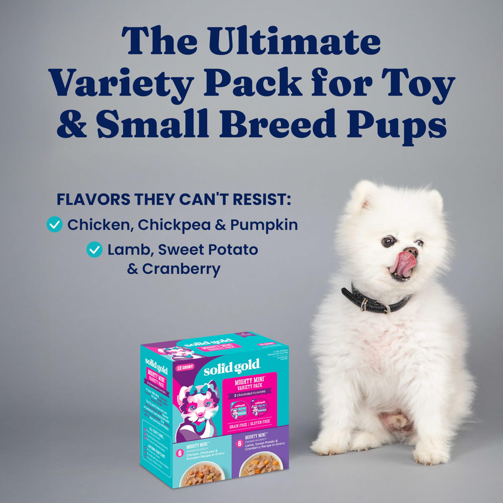 Solid Gold con superalimentos para apoyo digestivo en perros pequeños.