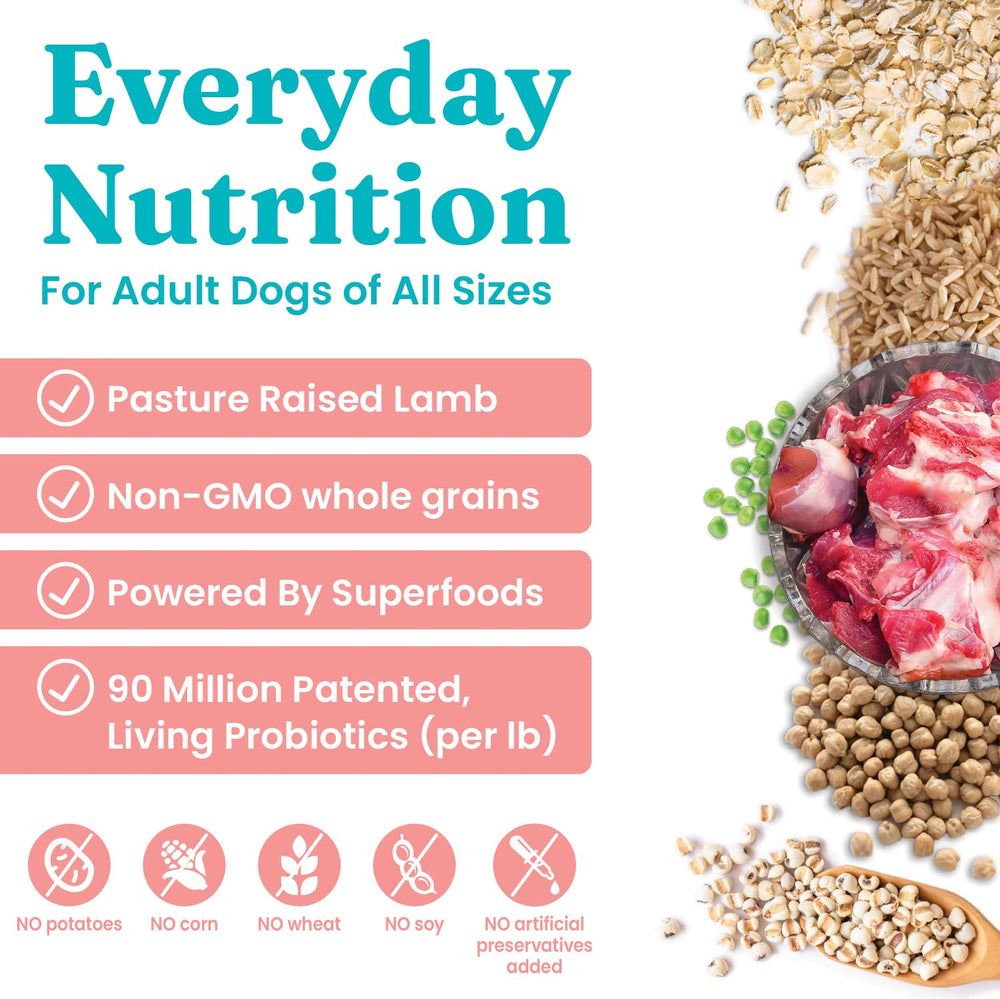 Solid Gold Hund-N-Flocken croquetas con probióticos para la salud intestinal.