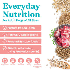 Solid Gold Hund-N-Flocken croquetas con probióticos para la salud intestinal.