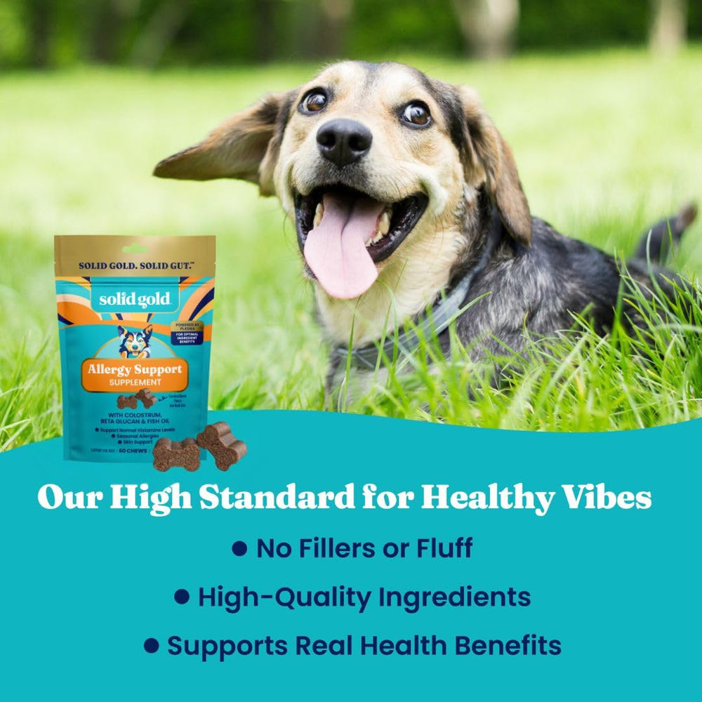 Solid Gold equilibrio digestivo y histamina para perros