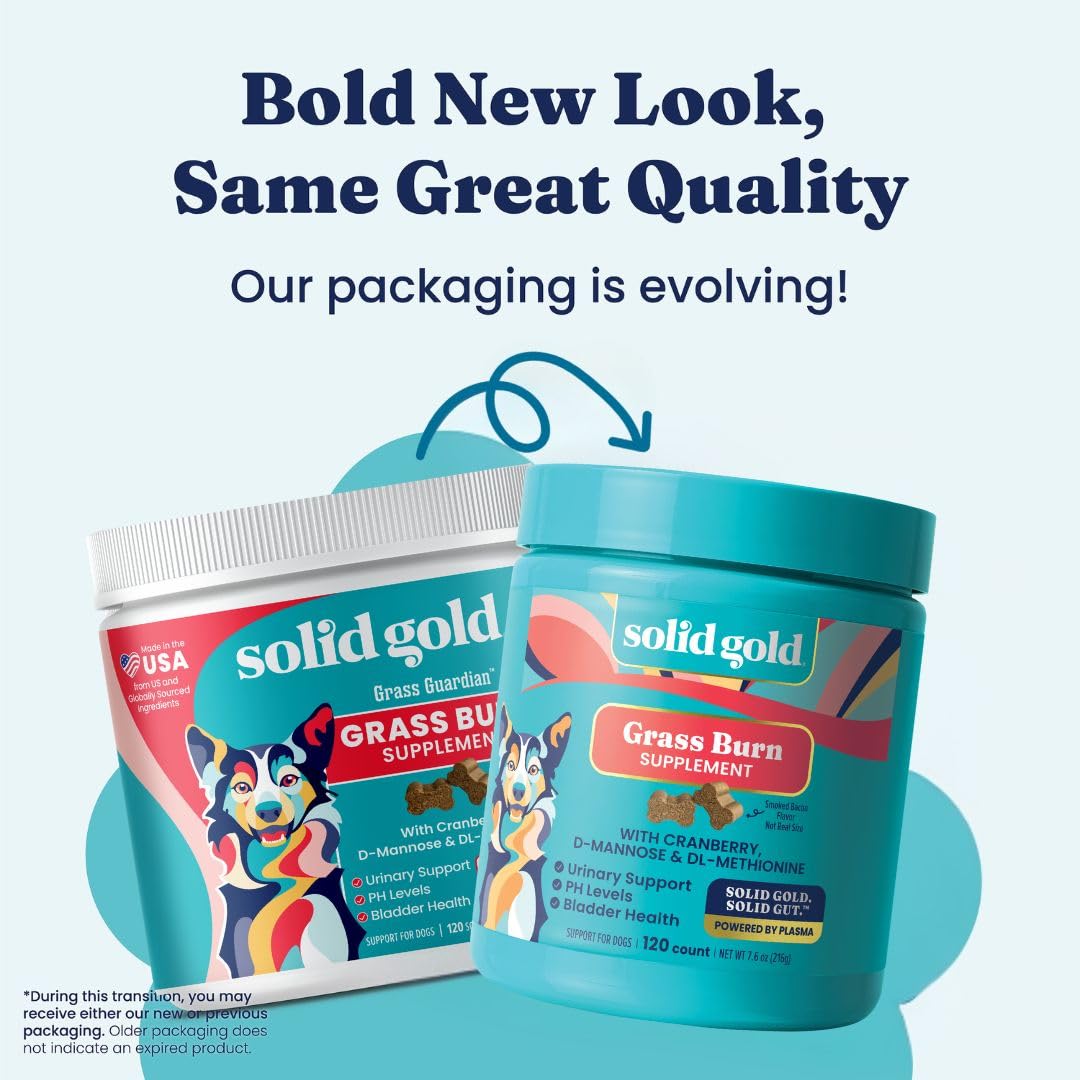 Perro masticando gomita para reparación de césped Solid Gold