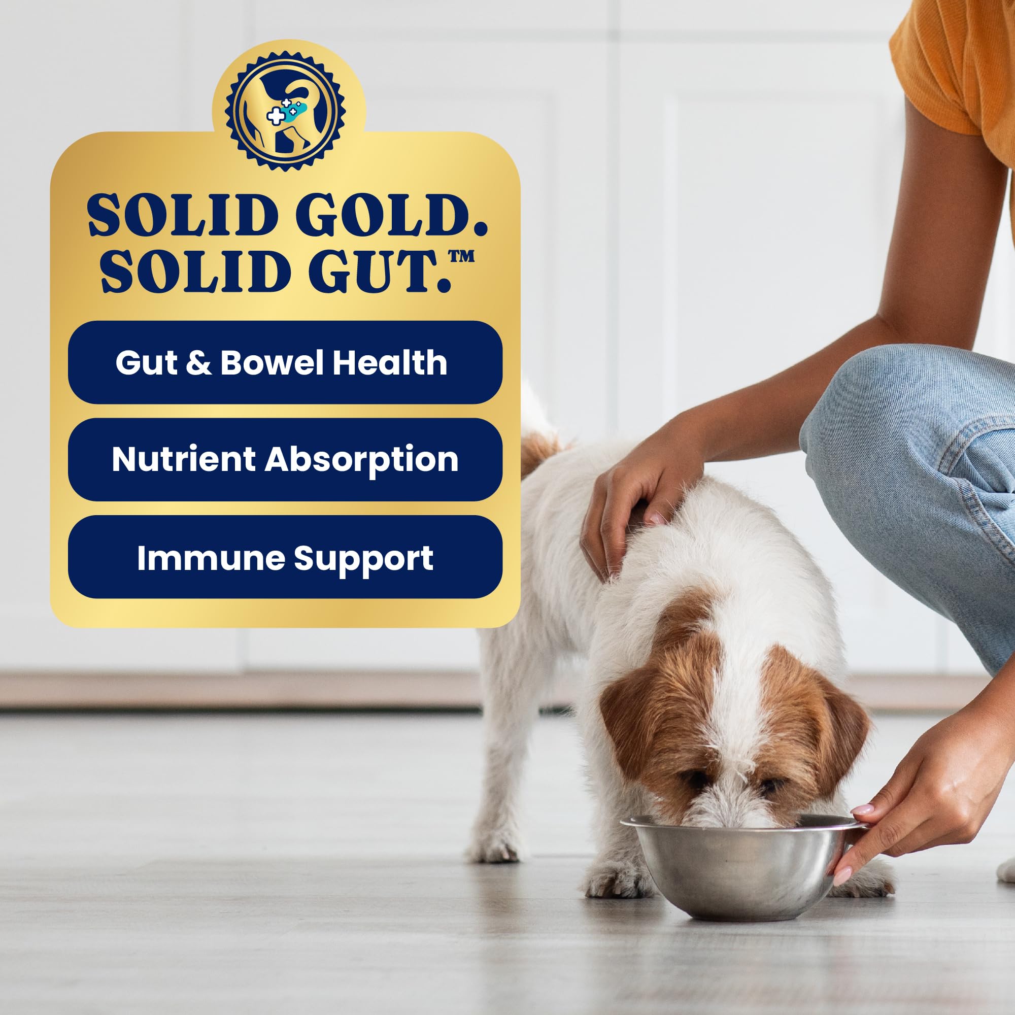 Solid Gold Lata para todas las edades: versatilidad para cachorros, adultos y seniors.