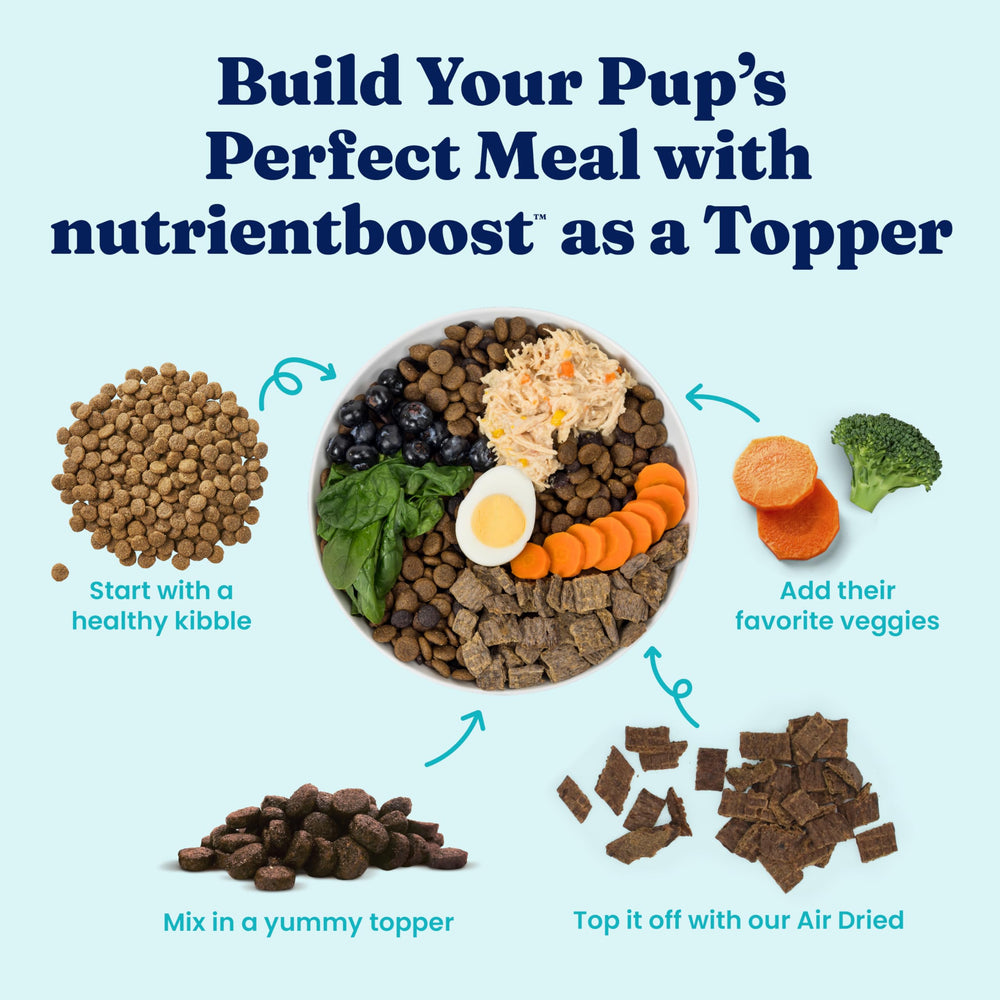 Solid Gold NutrientBoost uso con juguete de enriquecimiento para mayor estimulación.