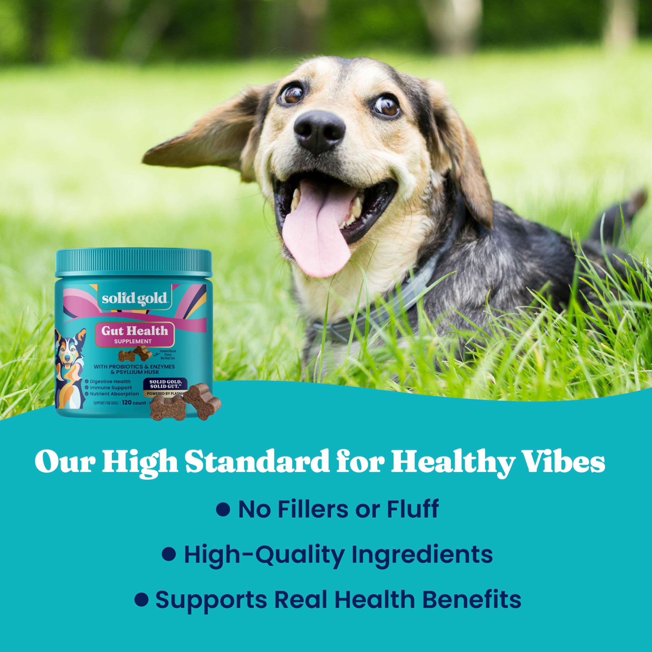 Solid Gold probióticos para perro: masticables diarios para mantener la salud digestiva.
