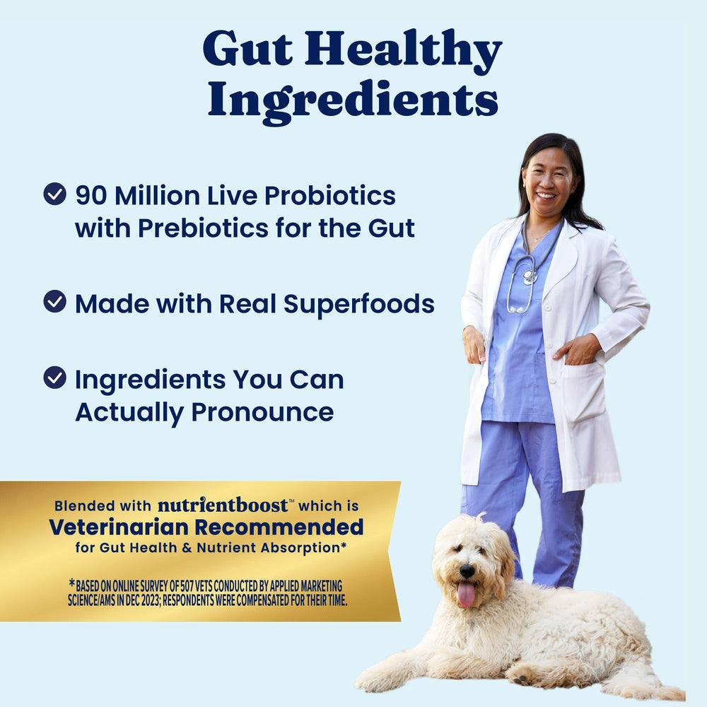 Solid Gold probióticos y prebióticos para digestión y microbiota equilibrada