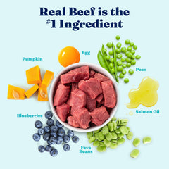 Solid Gold: proteína de res, textura real de carne para sabor y nutrición.