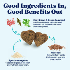 Solid Gold SeaMeal: perro masticando gomita, sabor agradable y nutrientes