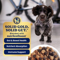 Solid Gold opción sin granos y sin gluten para cachorros con sensibilidad.