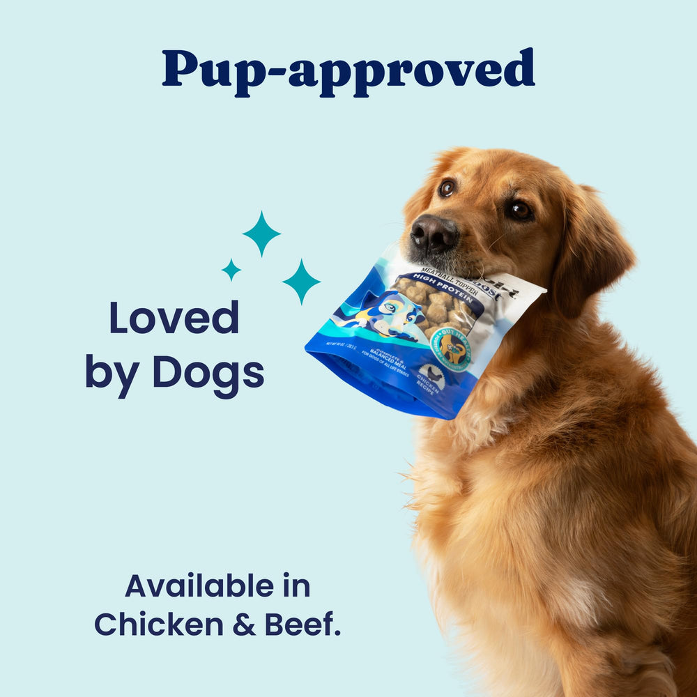 Solid Gold complemento proteico para perros activos.